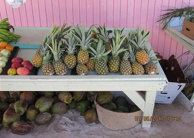 Mon Soleil Home Governor's Harbour Bahamalar